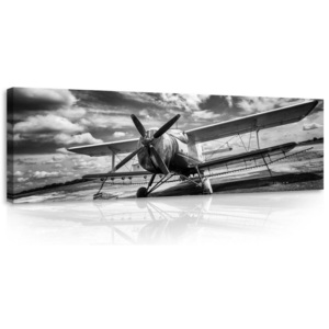 Tablou canvas: Avion biplan (alb-negru) - 145x45 cm