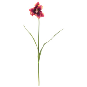 Fir tulip artificial, 80 cm