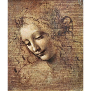 Head of a Young Woman with Tousled Hair or, Leda Reproducere, Leonardo da Vinci
