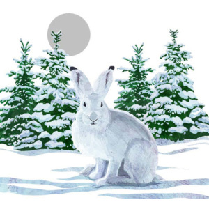 Set 10 șervețele din hârtie cu motive de Crăciun PPD Snow Rabbit