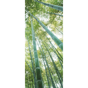 Fototapet: Pădure de bambus - 211x91 cm