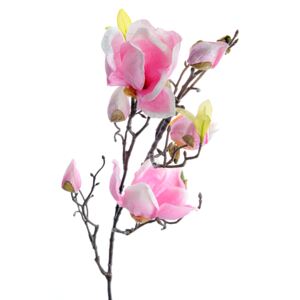 Decoratiune incantatoare, crenguta magnolie cu flori