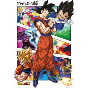 Dragon Ball - Panels Poster, (61 x 91,5 cm)