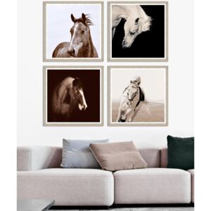 Tablou 4 piese Framed Art Horse Portraits