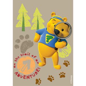 Covor Disney Kids Tigger & Pooh 602, Imprimat Digital