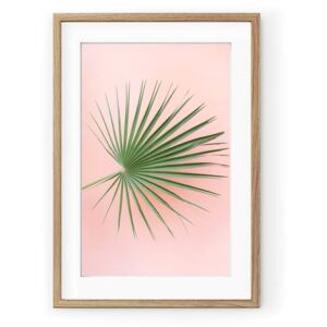 Tablou Palm on Pink Oak