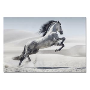 Tablou Sticla Glasspik Horse, 80x120 cm