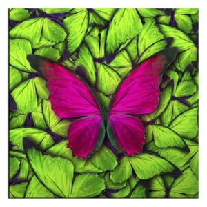 Tablou Sticla Glasspik Butterfly Green, 20x20 cm