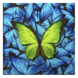 Tablou Sticla Glasspik Butterfly Blue, 20x20 cm