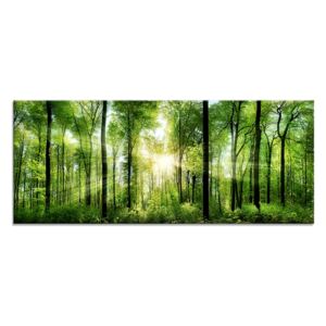 Tablou Sticla Glasspik Sunlight, 50x125 cm