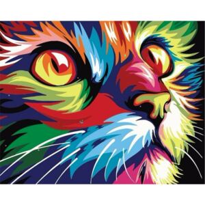 Pictura pe numere "Pisică colorată" 40x50 cm
