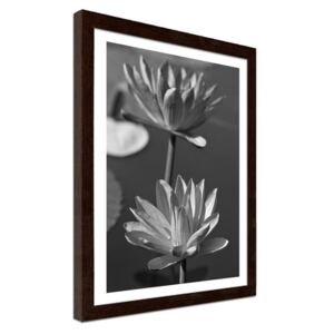 CARO Imagine în cadru - Two Water Lilies 30x40 cm Maro