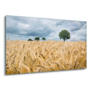 GLIX Tablou pe sticlă - Harvest Time 4 x 30x80 cm