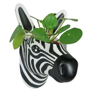 Set 4 ghivece pentru plante de perete Zebra
