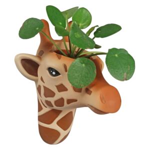 Set 4 ghivece pentru plante de perete Giraffe