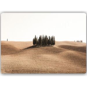 CARO Tablou metalic - Toscana 70x50 cm