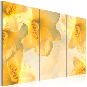 Bimago Tablou - Yellow Lilies 120x80 cm