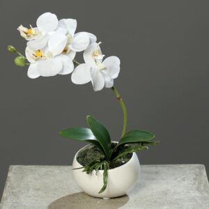 Orhidee artificiala alba in ghiveci - 25 cm