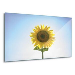 Tablou pe sticlă - Sunflower 4 x 30x80 cm