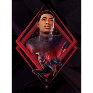 Tablou Canvas Spider-Man Miles Morales - Be Greater, (60 x 80 cm)