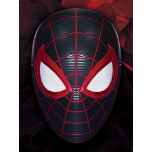 Tablou Canvas Spider-Man Miles Morales - The Mask of a Hero, (30 x 40 cm)