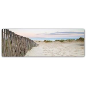 CARO Tablou metalic - Sand Dunes On The Beach At Sunset 50x20 cm
