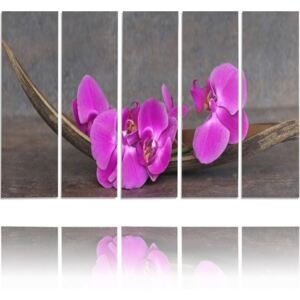 CARO Tablou pe pânză - Pink Orchids 100x70 cm