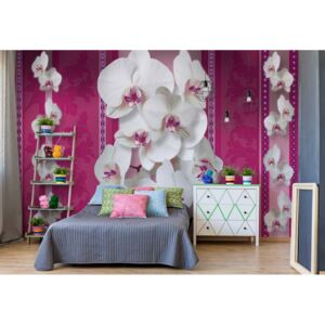 Fototapet - Luxury Floral Design Orchids Pink Vliesová tapeta - 254x184 cm