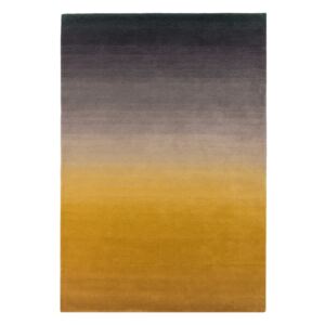 Covor Asiatic Carpets Ombre, 120 x 170 cm, galben-gri