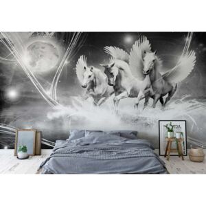 Fototapet - Winged Horses Pegasus Black And White Vliesová tapeta - 368x254 cm