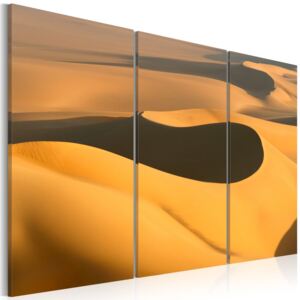 Tablou - Nekonečná poušť 60x40 cm