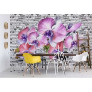 Fototapet - Flowers Orchids Stone Wall Texture Vliesová tapeta - 206x275 cm