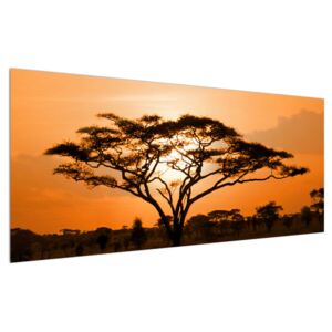 Tablou cu savana africană (Modern tablou, K011462K12050)