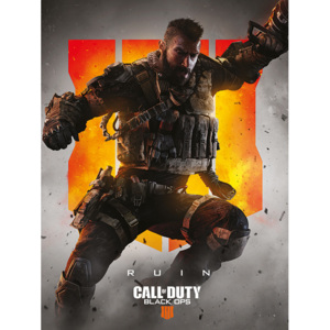 Call of Duty: Black Ops 4 - Ruin Tablou Canvas, (60 x 80 cm)