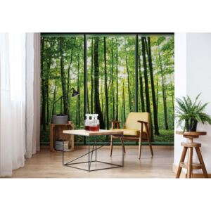Fototapet - Forest Trees Green Window View Vliesová tapeta - 416x254 cm