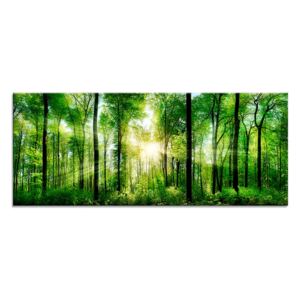 Tablou pe sticlă - Styler Sunlight 125x50 cm