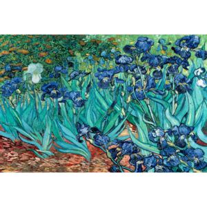 Poster Vincent van Gogh - Les Irises, (91,5 x 61 cm)