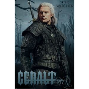 Poster The Witcher - Geralt of Rivia, (61 x 91,5 cm)