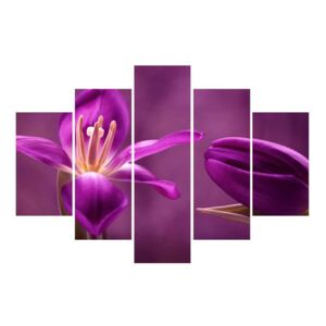 Tablou cu floare violet (Modern tablou, K012217K150105)