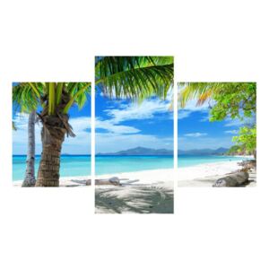 Tablou cu palmier și plaja (K012665K90603PCS)
