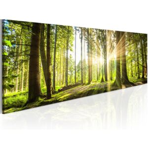 Tablou Bimago - Daylight 150x50 cm