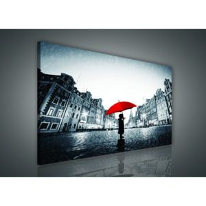 Tablou canvas: În ploaie - 75x100 cm