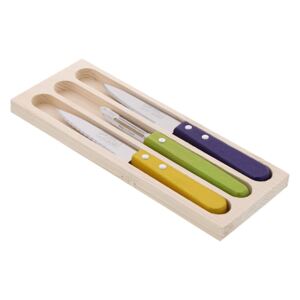 Set 2 cuțite și curățător din inox pentru legume, în cutie de cadou Jean Dubost Vegetable