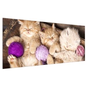 Tablou cu pisicuțe dormind (Modern tablou, K014996K12050)