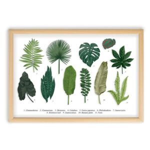 Tablou Surdic Leafes Guide, 50 x 70 cm