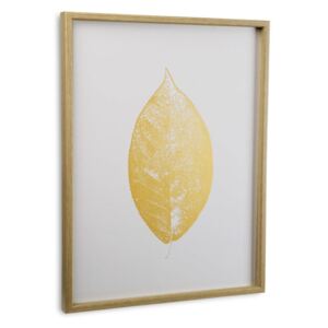 Tabou cu ramă Versa Leaf no. 2, 45 x 60 cm