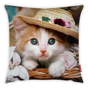 Față de pernă Vitaus Cute Kitten, 43 x 43 cm