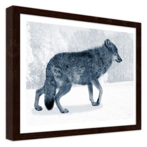 CARO Imagine în cadru - Gray Wolf 40x30 cm Maro