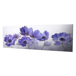 Tablou pe pânză Violet, 80 x 30 cm