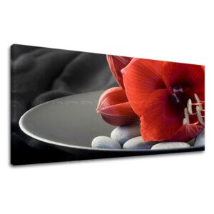 Tablouri canvas FENG SHUI Panorama FS032E13 (tablouri moderne)